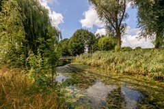 Vrouwenmantel 81  Schoonhoven 002.jpg